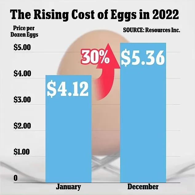 鸡蛋价格